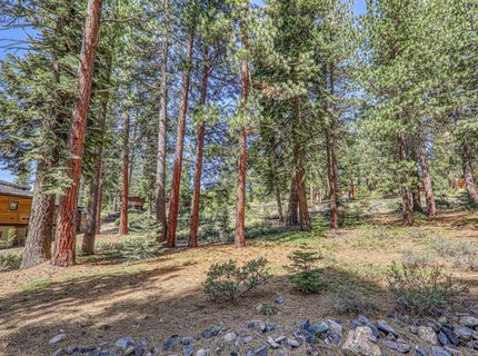 11729 Coburn Drive, Truckee, CA 96161 Photo