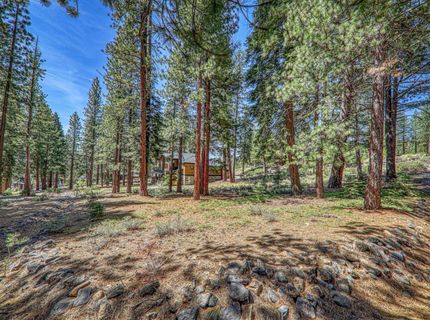 11729 Coburn Drive, Truckee, CA 96161 Photo