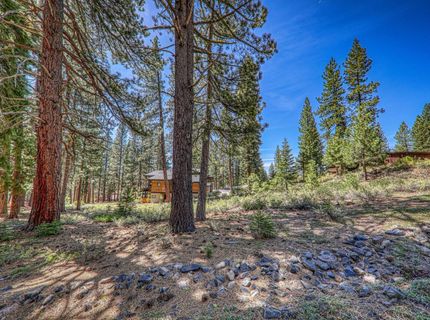 11729 Coburn Drive, Truckee, CA 96161 Photo