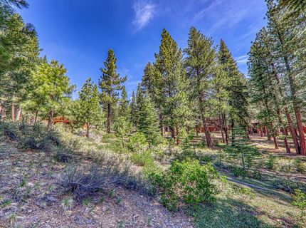 11729 Coburn Drive, Truckee, CA 96161 Photo