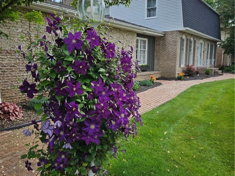 1471 Stonington Road NW, North Canton, OH 44720 Photo 46