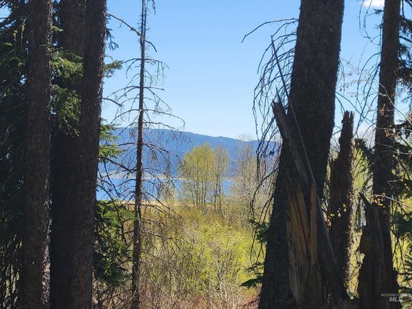 1602 Bear Trail Loop, Donnelly, ID 83615