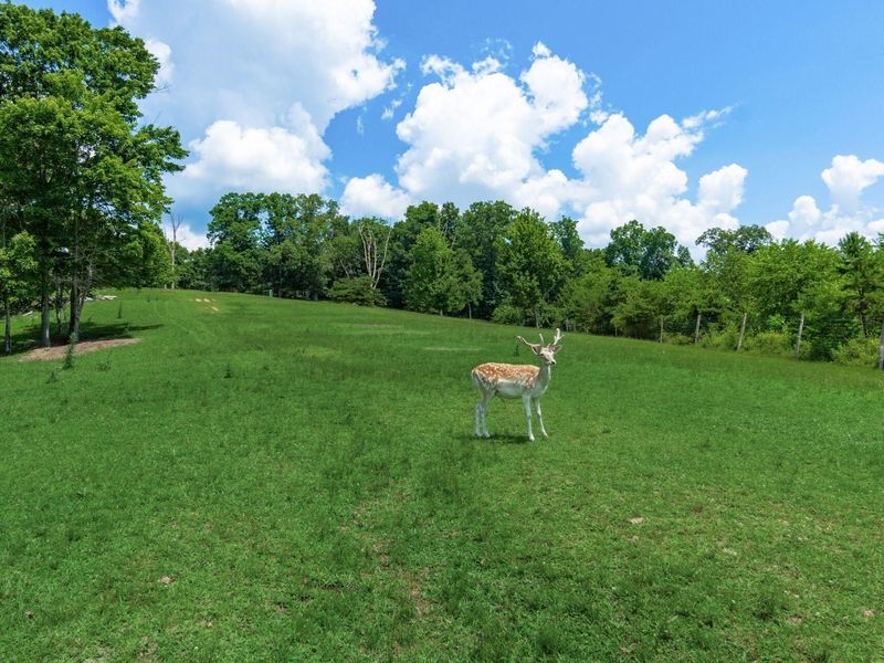 58501 US Highway 50 , McArthur, OH 45651 Photo 31