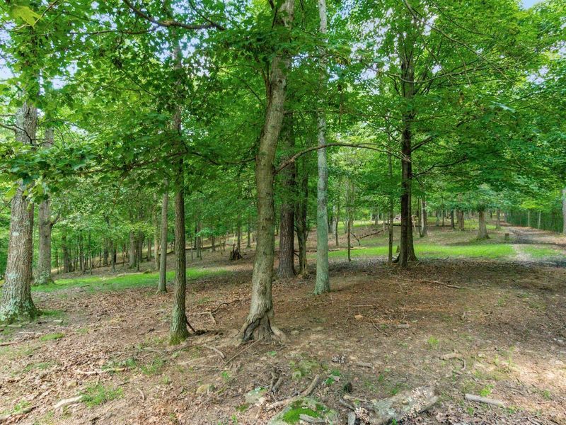 58501 US Highway 50 , McArthur, OH 45651 Photo 36