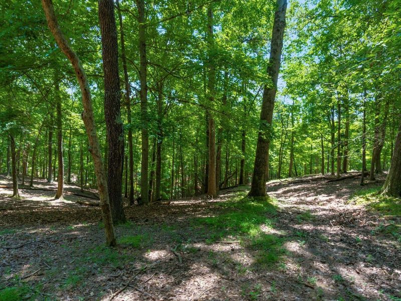 58501 US Highway 50 , McArthur, OH 45651 Photo 46