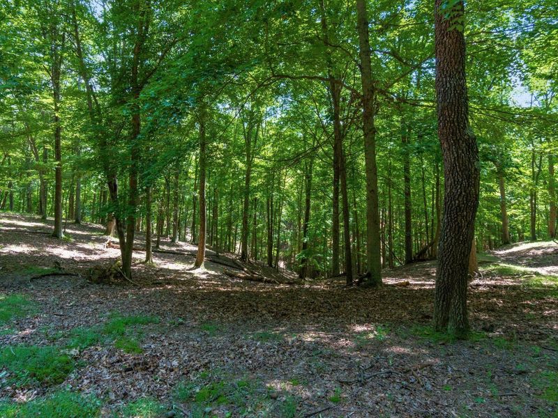 58501 US Highway 50 , McArthur, OH 45651 Photo 47