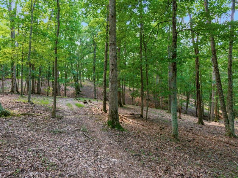 58501 US Highway 50 , McArthur, OH 45651 Photo 48