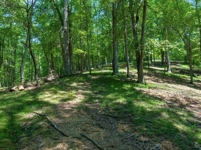 58501 US Highway 50 , McArthur, OH 45651 Photo 49