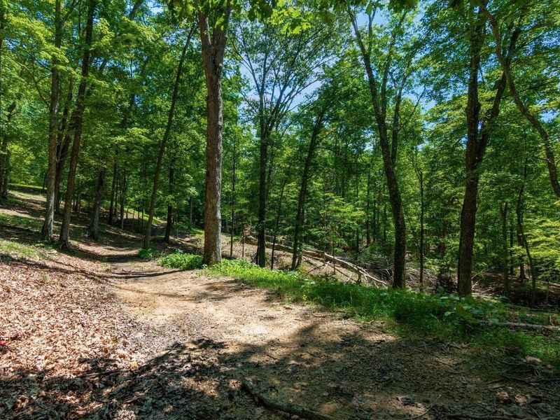 58501 US Highway 50 , McArthur, OH 45651 Photo 50
