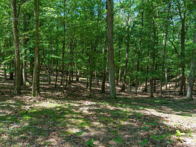 58501 US Highway 50 , McArthur, OH 45651 Photo 53