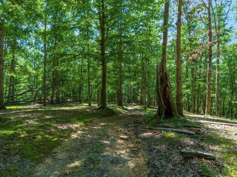 58501 US Highway 50 , McArthur, OH 45651 Photo 54