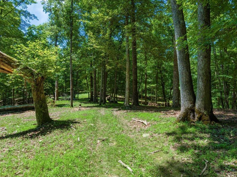 58501 US Highway 50 , McArthur, OH 45651 Photo 55
