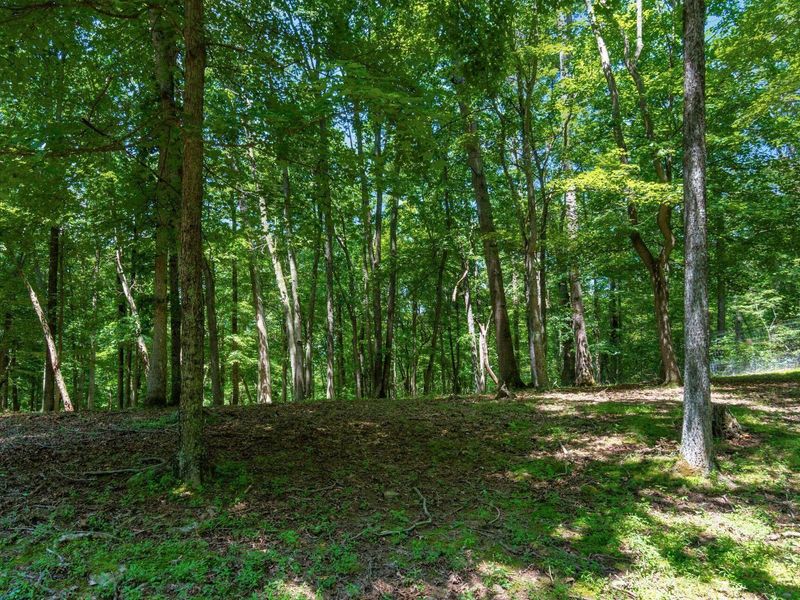 58501 US Highway 50 , McArthur, OH 45651 Photo 56