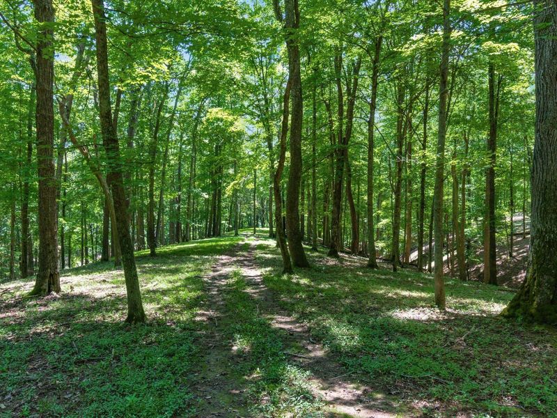 58501 US Highway 50 , McArthur, OH 45651 Photo 60