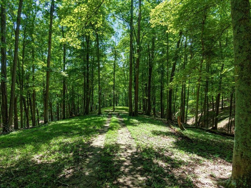 58501 US Highway 50 , McArthur, OH 45651 Photo 62