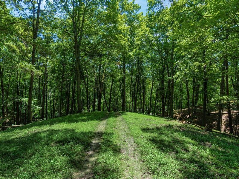 58501 US Highway 50 , McArthur, OH 45651 Photo 64