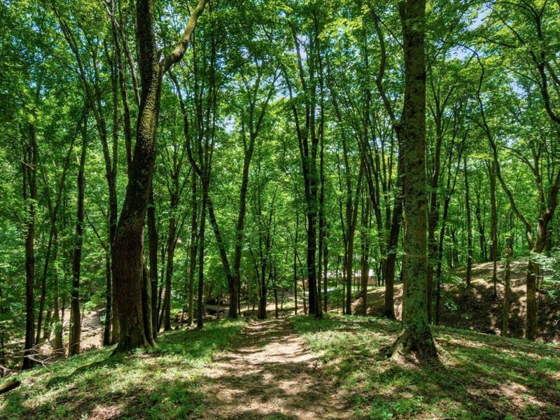 58501 US Highway 50 , McArthur, OH 45651 Photo 67
