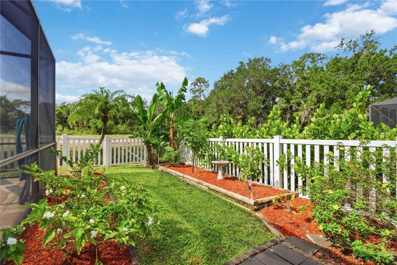 11212 Coralbean Drive, Lakewood Ranch, FL 34202 Photo