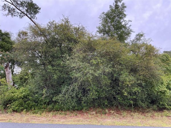 SW 165TH PLACE , OCALA, FL 34473