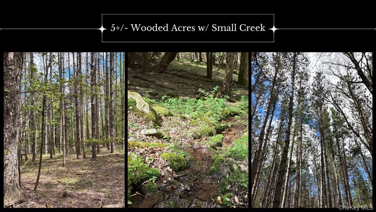 Lot 16 Putnam Road, Other, NY 13750 Main Photo