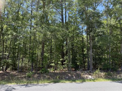 0 Hideaway Drive, Ridgeville, SC 29472
