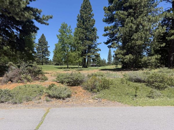 234 Idylberry Drive, Lake Almanor, CA 00000