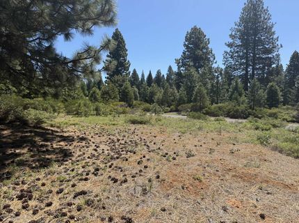 234 Idylberry Drive, Lake Almanor, CA 00000 Photo
