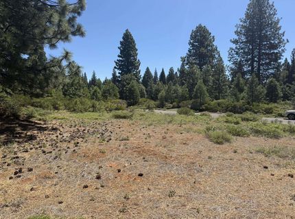234 Idylberry Drive, Lake Almanor, CA 00000 Photo