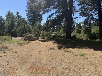 234 Idylberry Drive, Lake Almanor, CA 00000 Photo