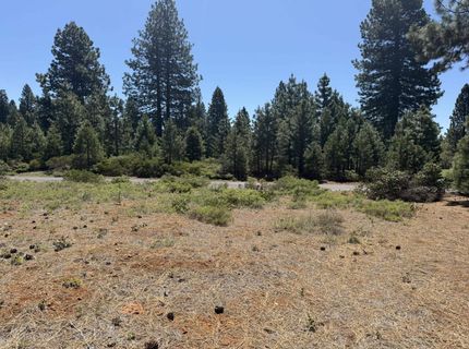 234 Idylberry Drive, Lake Almanor, CA 00000 Photo