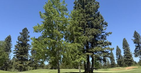 234 Idylberry Drive, Lake Almanor, CA 00000 Photo