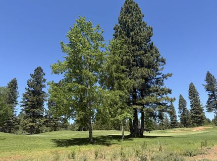 234 Idylberry Drive, Lake Almanor, CA 00000 Photo