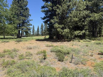 234 Idylberry Drive, Lake Almanor, CA 00000 Photo