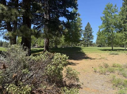 234 Idylberry Drive, Lake Almanor, CA 00000 Photo