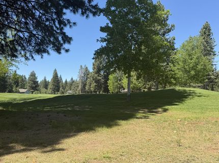 234 Idylberry Drive, Lake Almanor, CA 00000 Photo