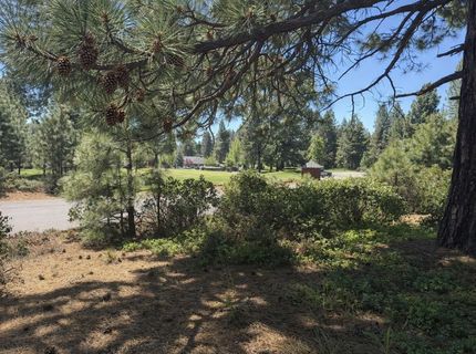 234 Idylberry Drive, Lake Almanor, CA 00000 Photo