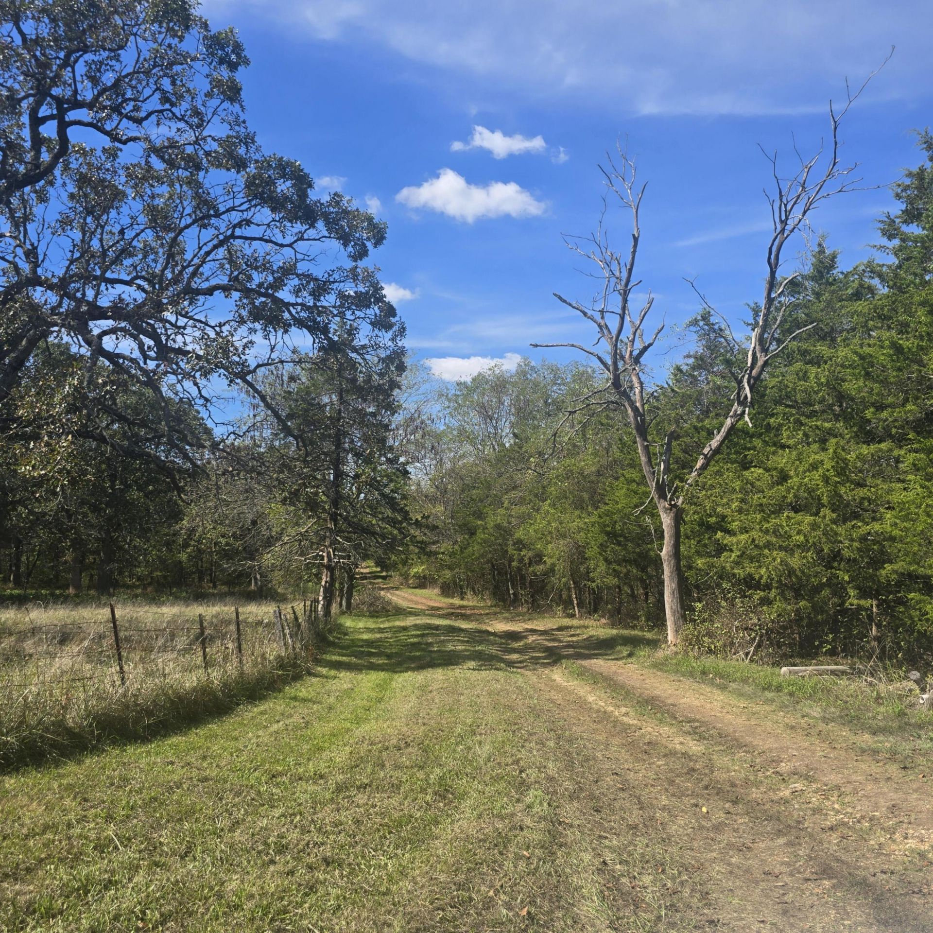 10806 N Farm Road 149 , Pleasant Hope, MO 65725 Main Photo