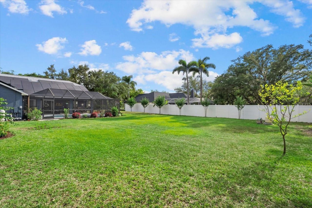 8806 Crosswood Court, Riverview, FL 33578 Photo