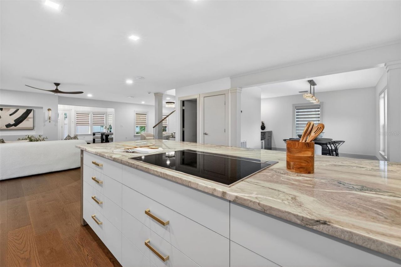 124 19th Avenue N, Saint Petersburg, FL 33704 Photo