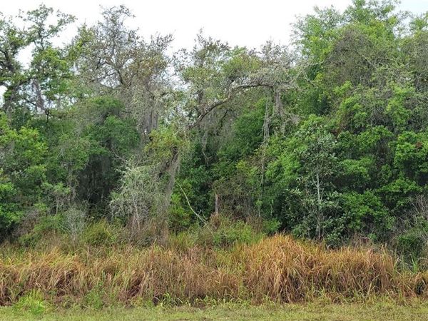 SPRUCE ROAD , OCALA, FL 34472