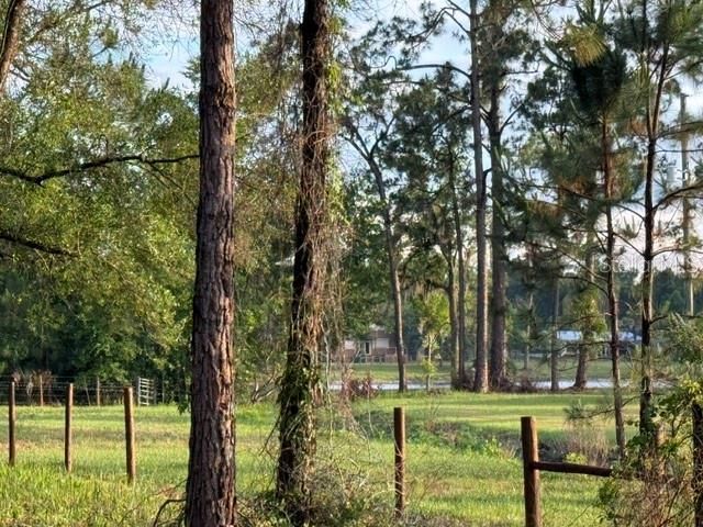 Spring Garden Ranch Rd , De Leon Springs, FL 32130 Photo