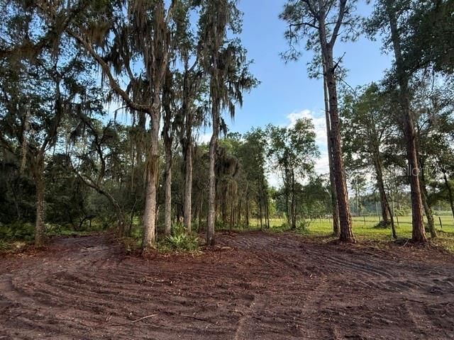 Spring Garden Ranch Rd , De Leon Springs, FL 32130 Photo