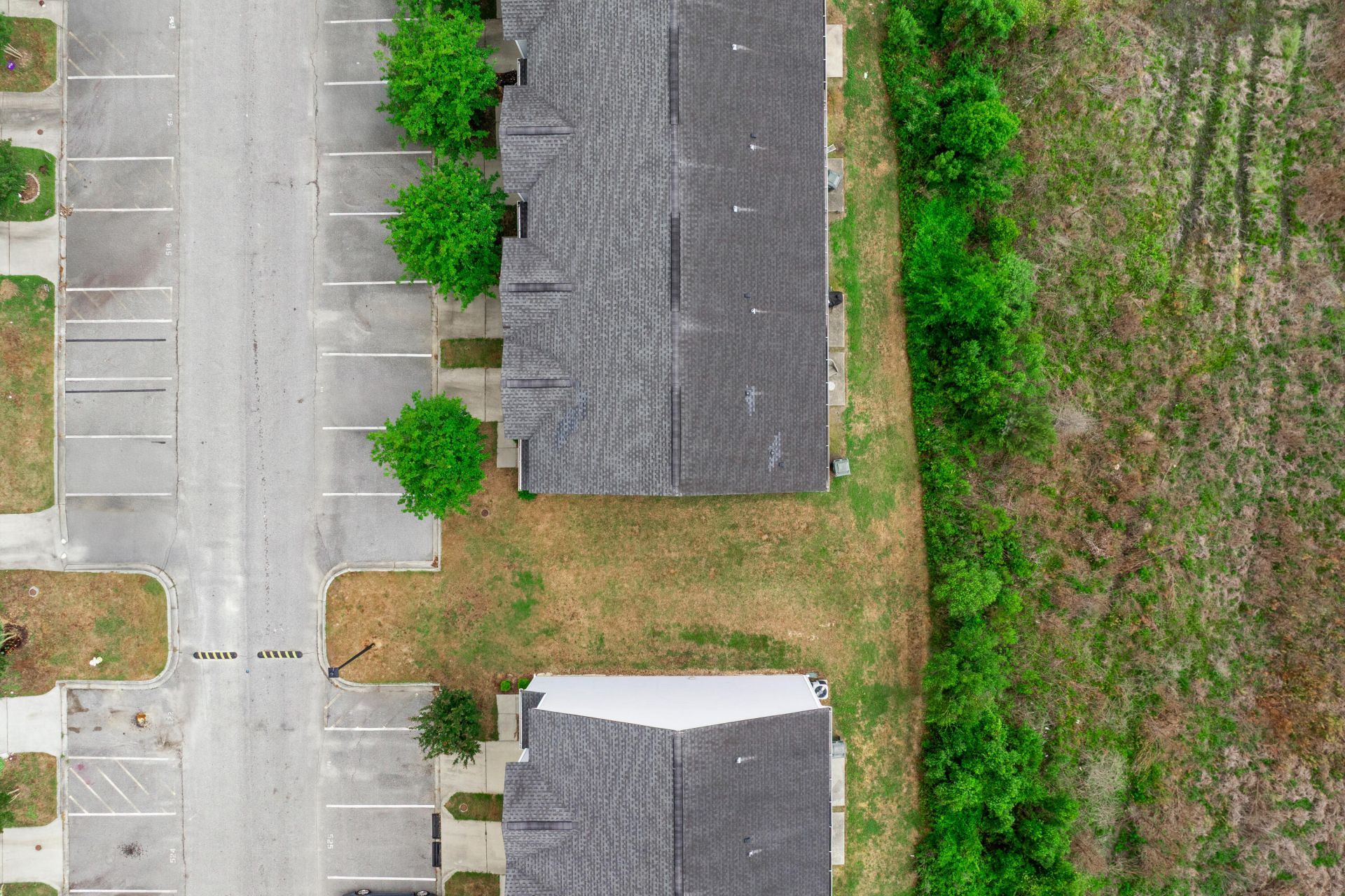 519 Truman Drive Photo 19