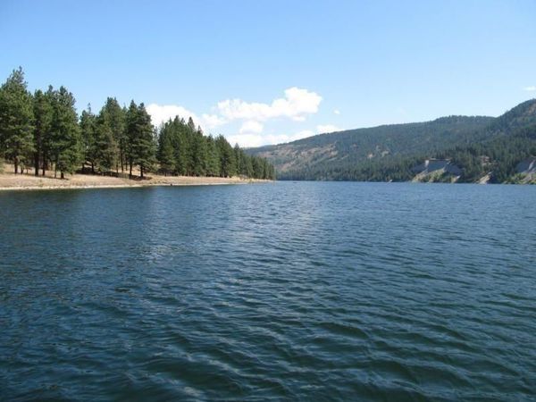 20XX Ray Anderson Rd, Kettle Falls, WA 99141