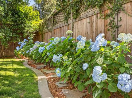 1810 9th Ave, Sacramento, CA 95818 Photo