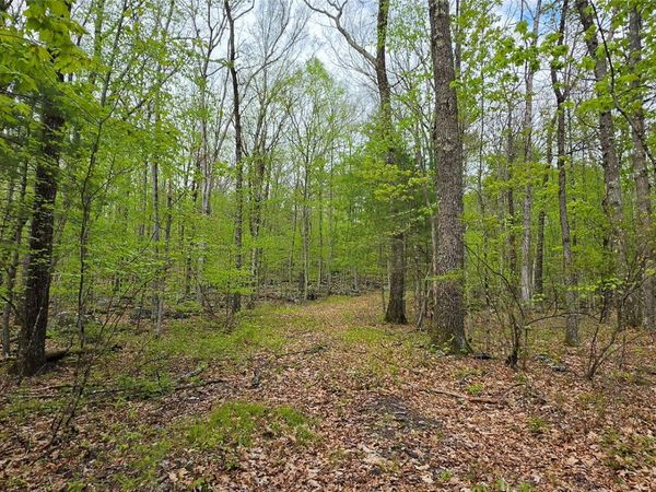 Lot 23.21 State Route 97 , Narrowsburg, NY 12764