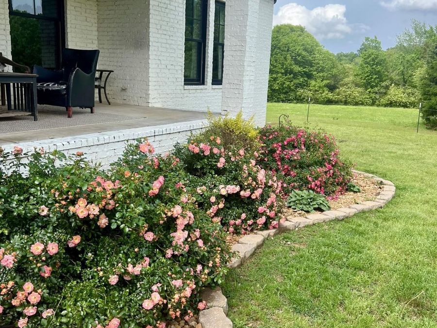 Property Image 45
