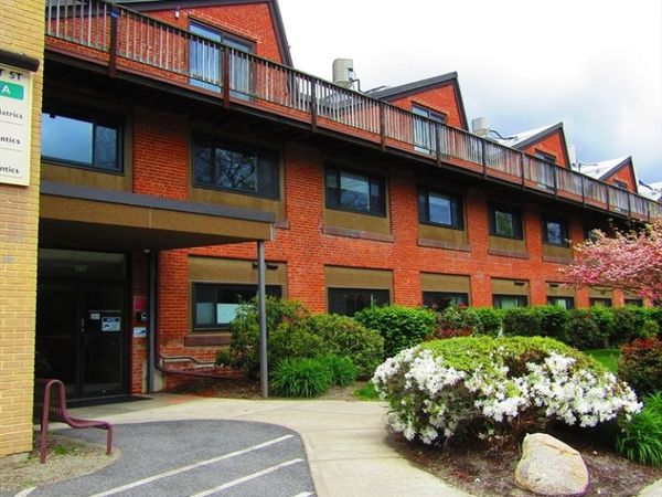 267 Locust Street, Unit 1A, Northampton, MA 01062