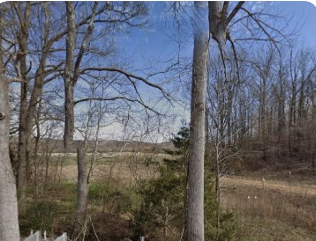 4698 Buffalo Rd , Hohenwald, TN 38462 Main Photo