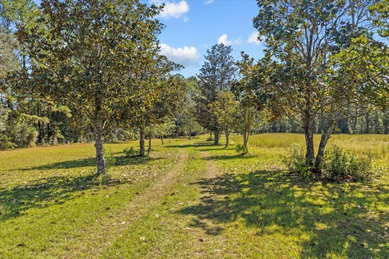 4087 NW Honey Lake Road , Greenville, FL 32331 Photo